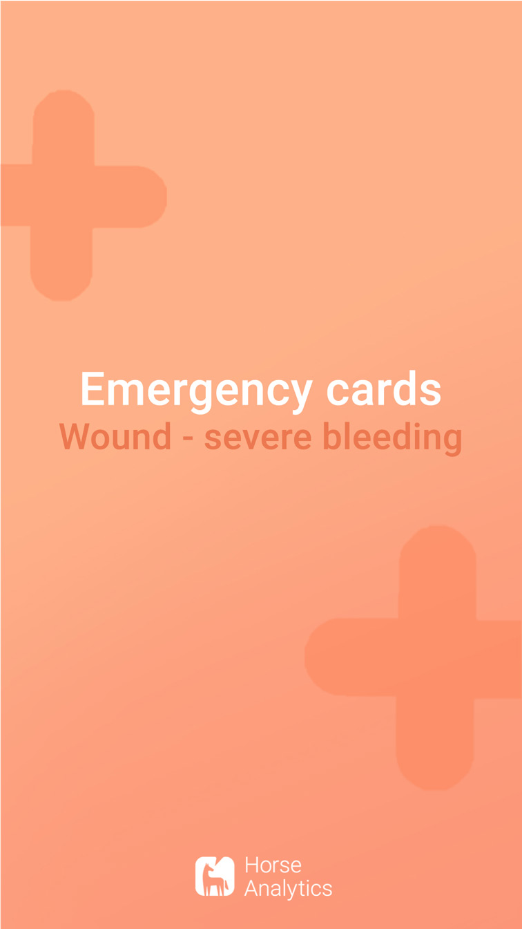 Emergency card severe bleeding wound, horse strong bleeding wound, horse wound