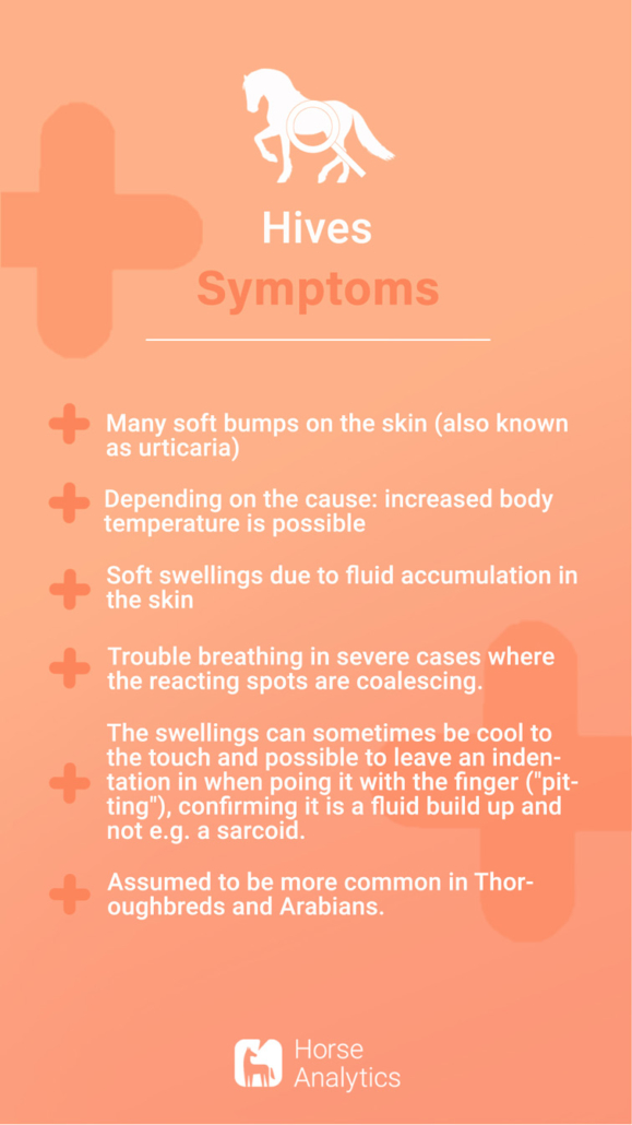 Emergency hives card, emergency hives, hives in horse symptoms, how to recognize hives.