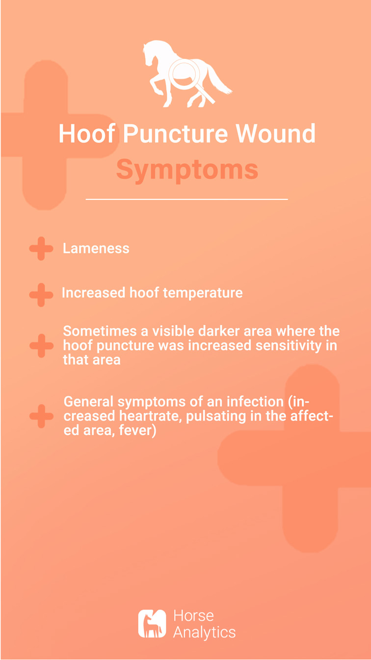 Horse emergency: Hoof puncture wound – horseanalytics.com